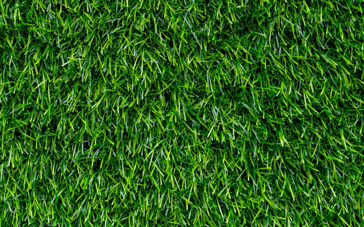 césped artificial